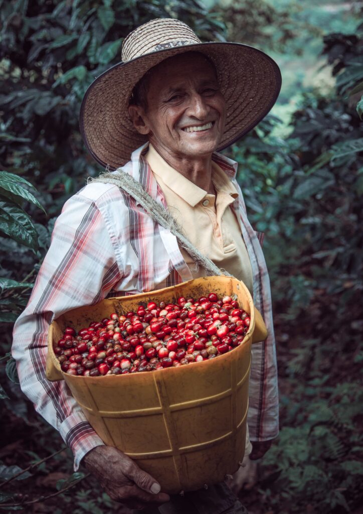 illustration d'un homme dans une plantation de caféiers