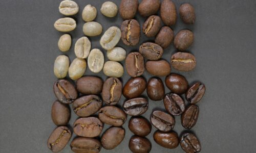 illustration de grains de café vert, légèrement torréfiés et foncés