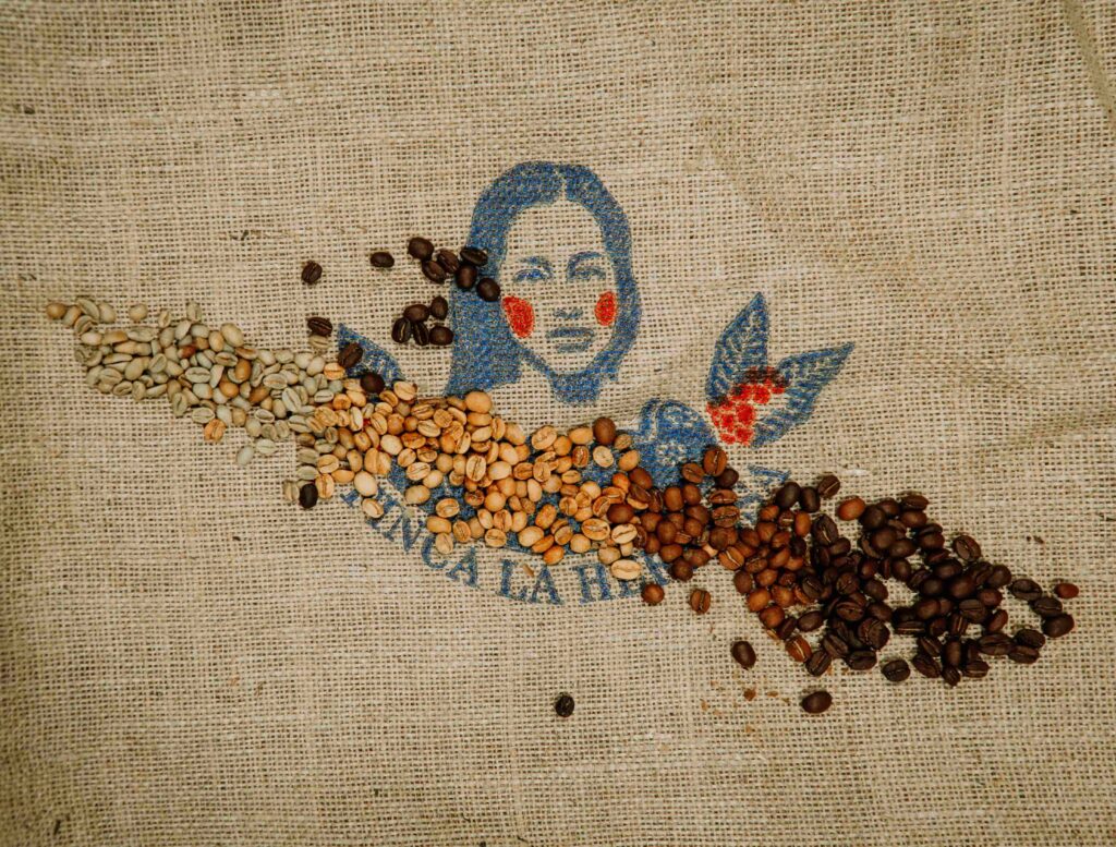 illustration d'un dégradé de couleur composé de grains de café