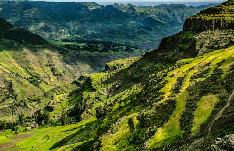 Photo d'une vallée verdoyante en Ethiopie