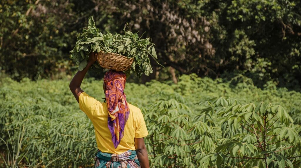Illustration des femmes dans l'agriculture au Rwanda