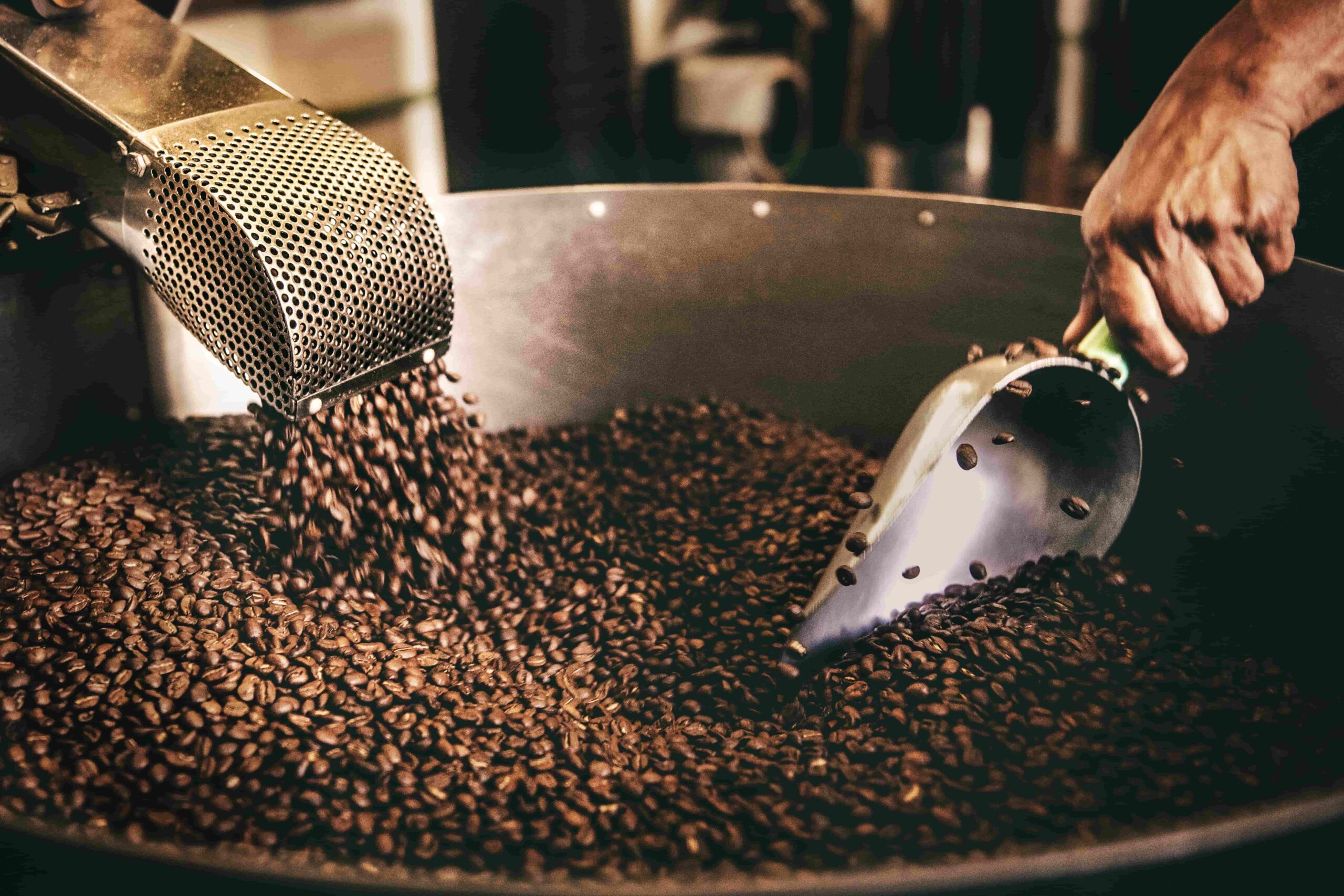 photo d'une main piochant des grains de café sortant d'une machine de torréfaction